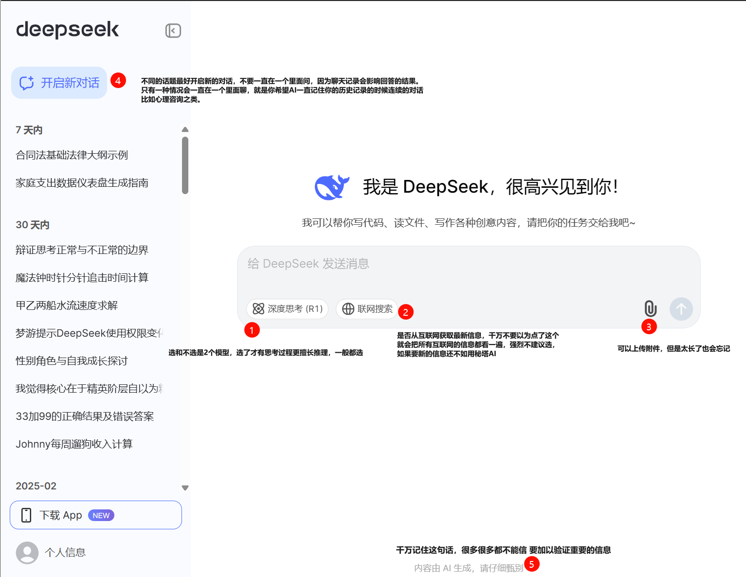DeepSeek界面示例